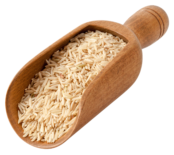 Soak and Sprout Handout download